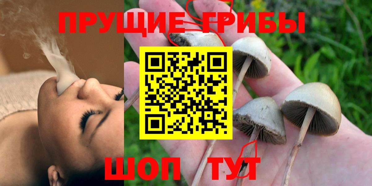 Галлюциногенные грибы MAGIC MUSHROOMS  Вход с VPN  Новочеркасск  Галлюциногенные грибы MAGIC MUSHROOMS 
