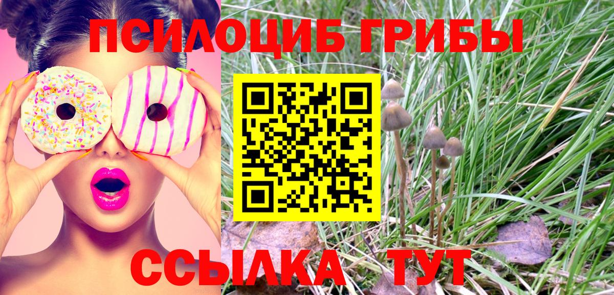 Галлюциногенные грибы MAGIC MUSHROOMS Новочеркасск